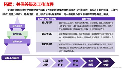 信息系统网络安全方案 三保一评与专业软件开发策略